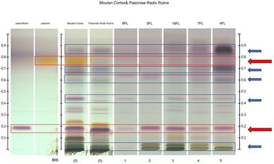 Complementary authentication of Chinese herbal products to treat endometriosis using DNA metabarcoding and HPTLC shows a high level of variability